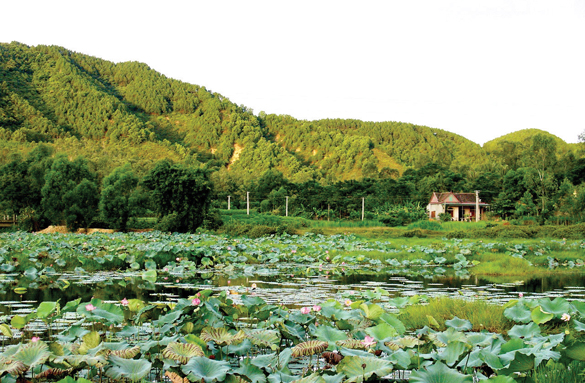 1 Bienui Lãng mạn và hoang sơ biển, núi Thiên Cầm